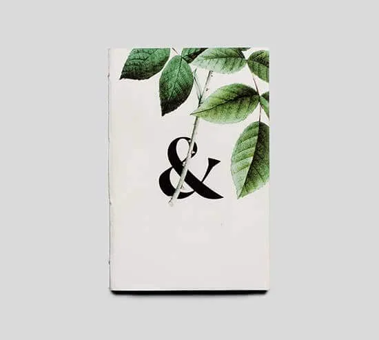 Table Decoration - MK体育